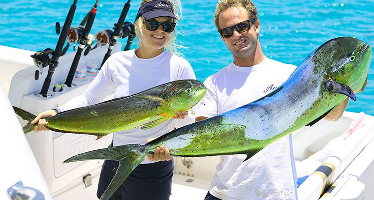 Mahi mahi fish held by passenger and crew on M/Y Arioso