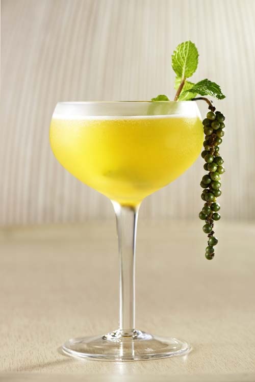 Kampot Fix: signature cocktail on the AQUA_MEKONG cruise on the Mekong River