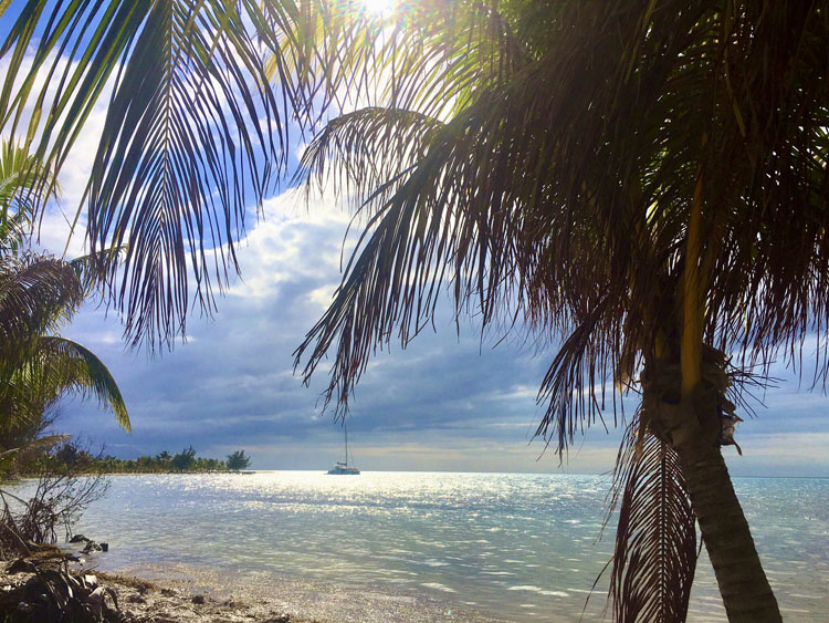 46 ft sailing catamaran at anchor in Belize