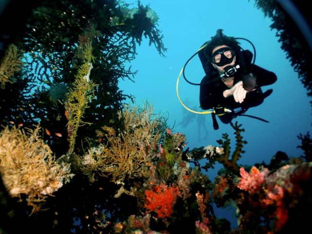 Diving in Papau New Guinea
