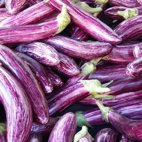 Pile of purple long eggplant grown in the Caribbean, used in the 2019 USVI Charter Yacht Show Chefs' Competition