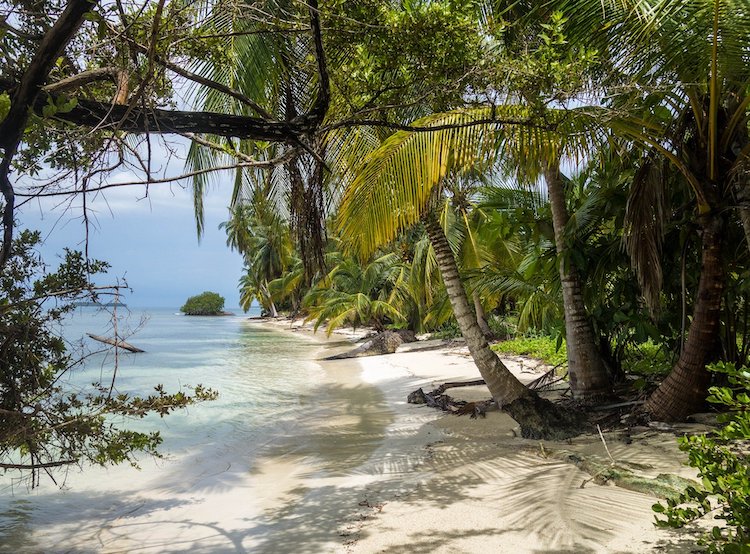 Sandy white beach and palm trees in Panama
