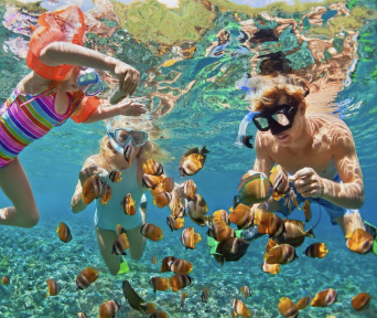 Family snorkeling with colorful tropical fish off 99ft Miaora motor yacht LADY KATANA in the Sea of Cortez, Mexico